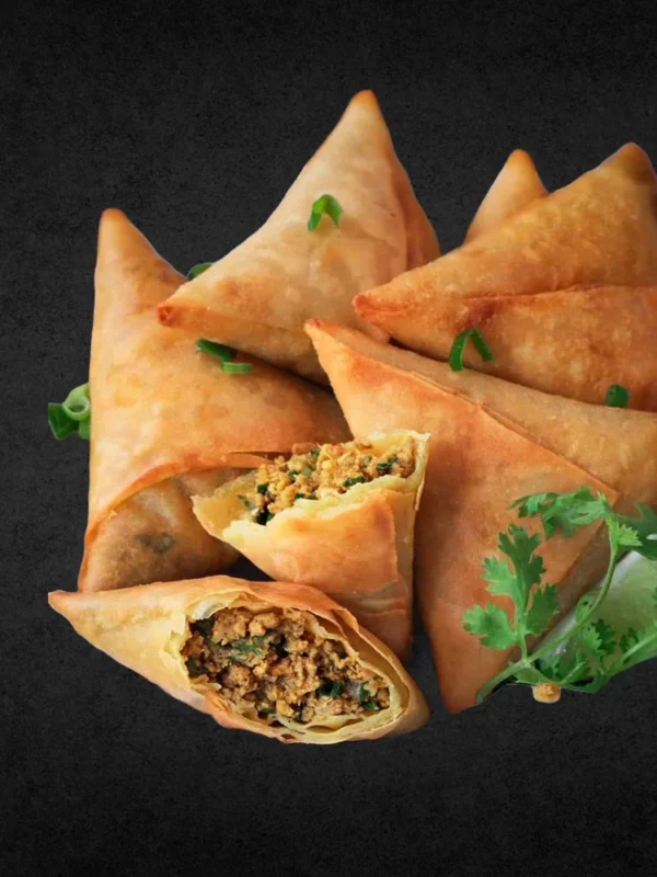 Chicken Keema Samosa FrozensFood